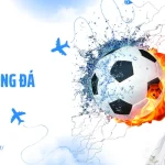 Cá Độ Bóng Đá - Tuyệt Chiêu Cao Thủ Thắng Đậm Khi Cá Độ